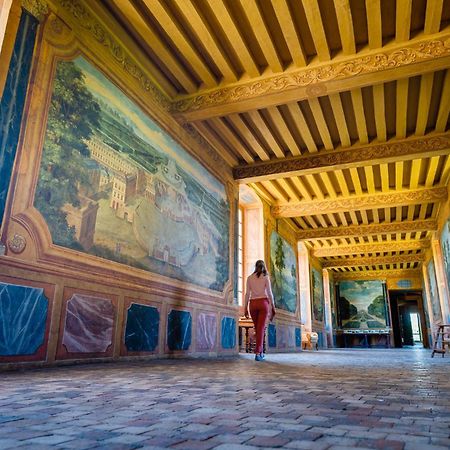 Chambres d'hôtes au Château de Gizeux Exterior foto
